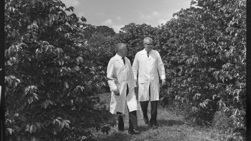 ARQUIVO SP: Ep 5. Instituto Biológico