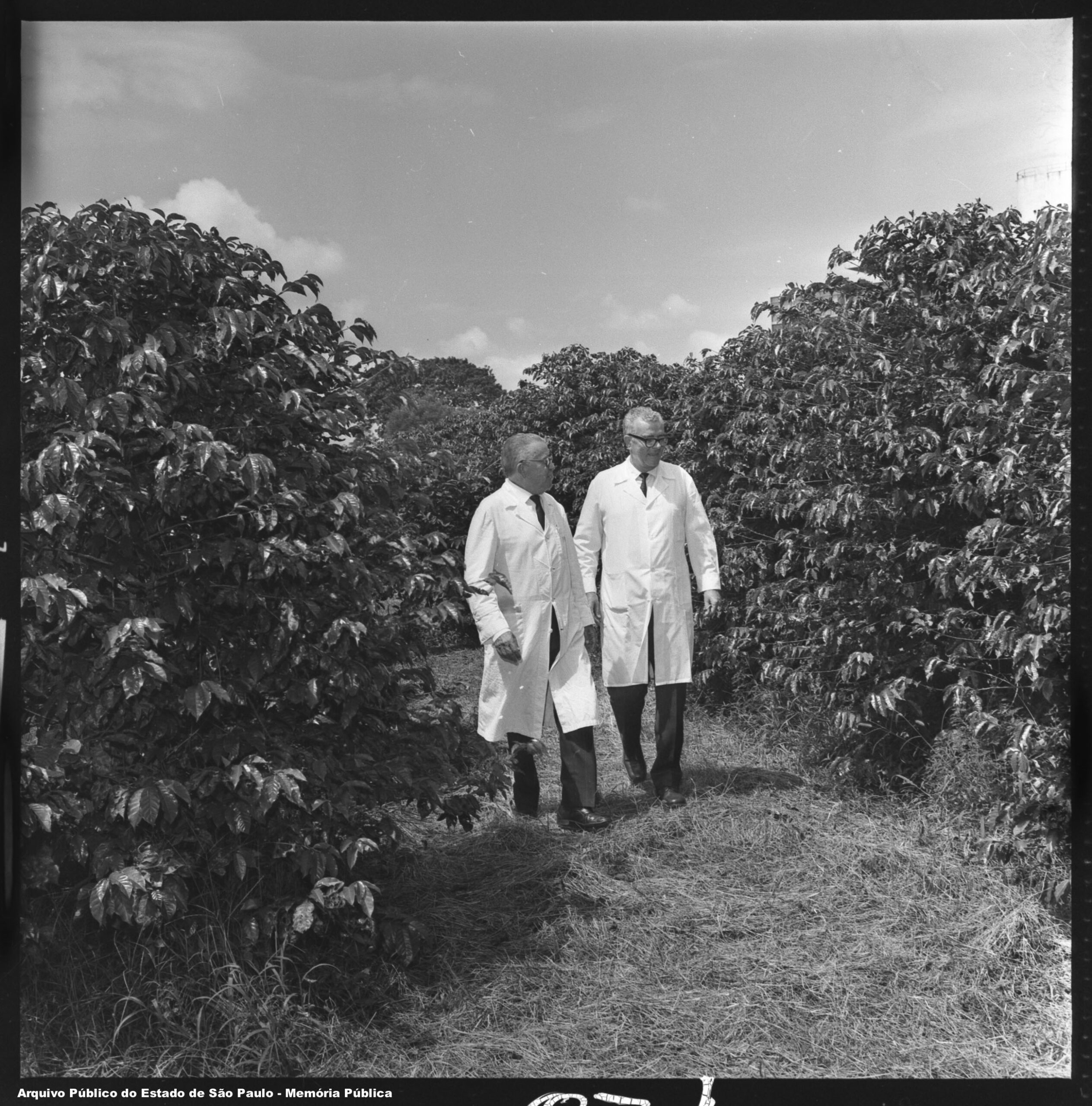 ARQUIVO SP: Ep 5. Instituto Biológico