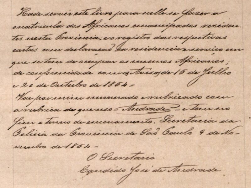 Detalhe de folha de papel bege com texto manuscrito em tinta marrom escura em 11 linhas, além de assinatura na parte inferior